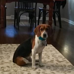 Meet your Posher, Phil